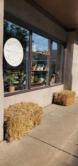 Fancy Unicorn