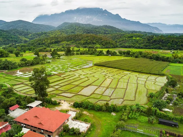 บ้านหลองข้าวเชียงดาววิว