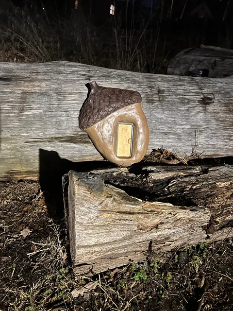 Stumpery Garden on the BeltLine