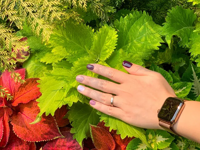 Vanity Beauty Lounge