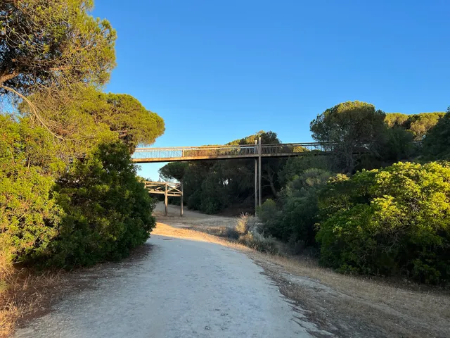 Dunar - Ruta 1 - Doñana Park