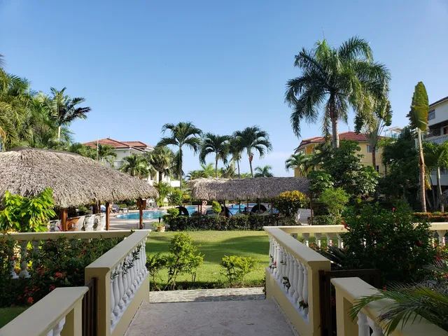 Las Palmeras By Graziano