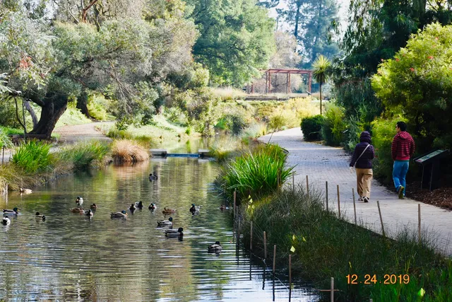 UC Davis Arboretum Gazebo
