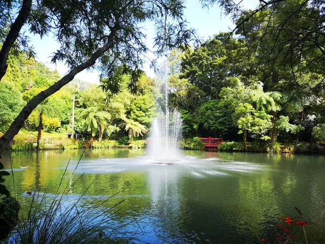 Pukekura Park Fernery and Display Houses