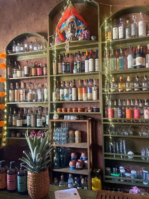 La Pulquísima Coctelería y Mezcalería Ancestral