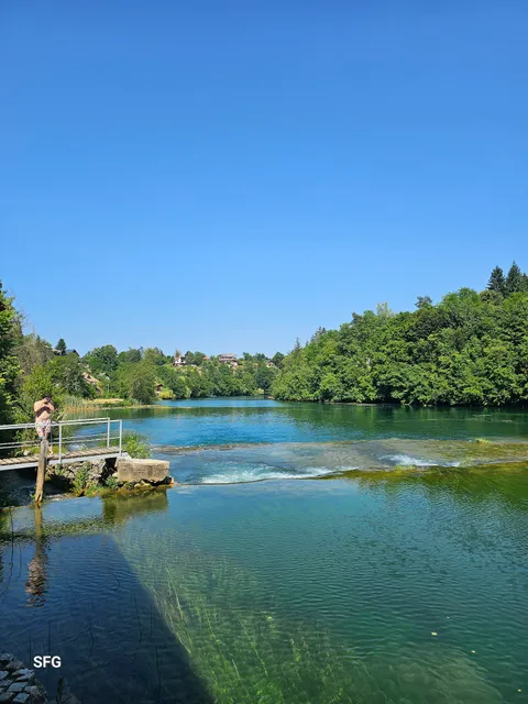 Mrežnička Harmonija / Mreznica Harmony