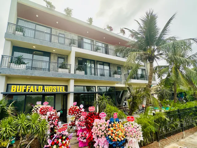 Ninhbinh Buffalo Hostel