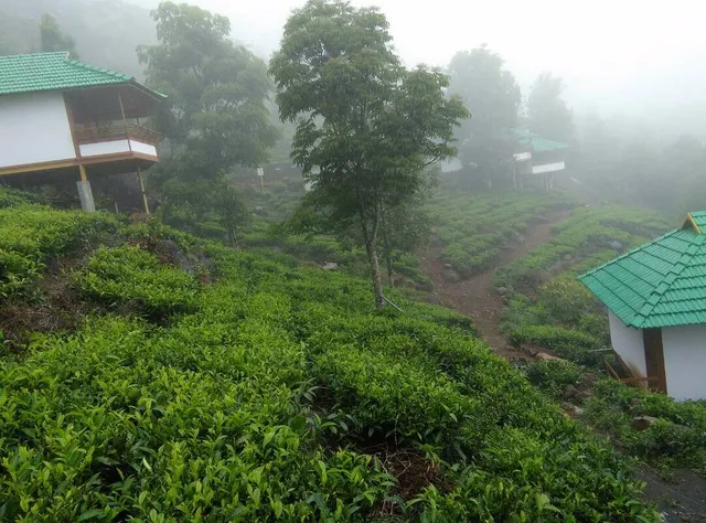 Vythiri Hills Nature Resorts