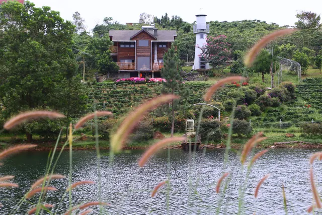 KAMELY HILL Homestay