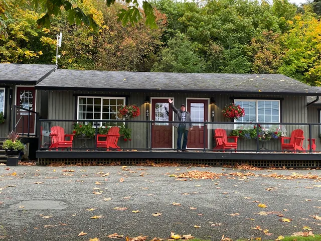 Driftwood by the Sea