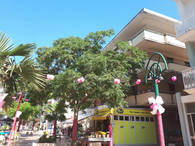 La Rosa dei Venti Apartments