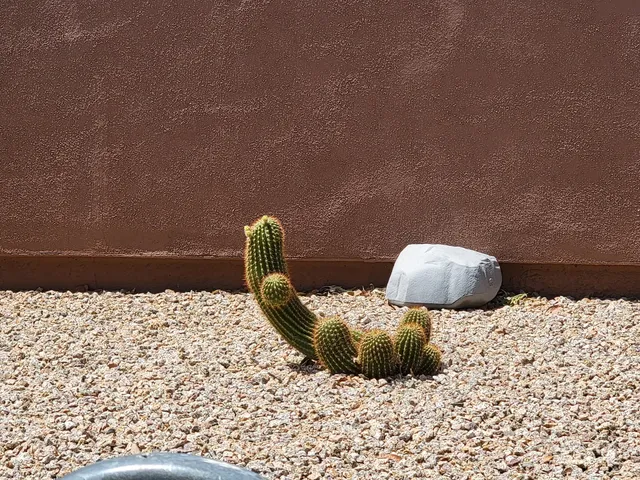 Midwestern University Cafe