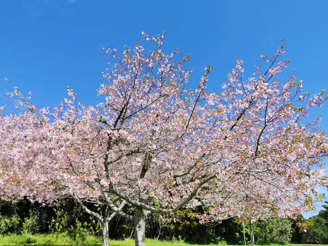 Botanical Gardens Off Leash Area
