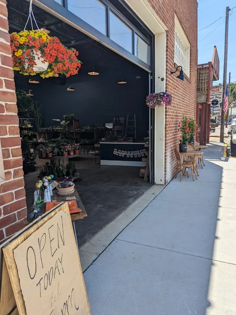 Lichen or Knot Plant Company, LLC