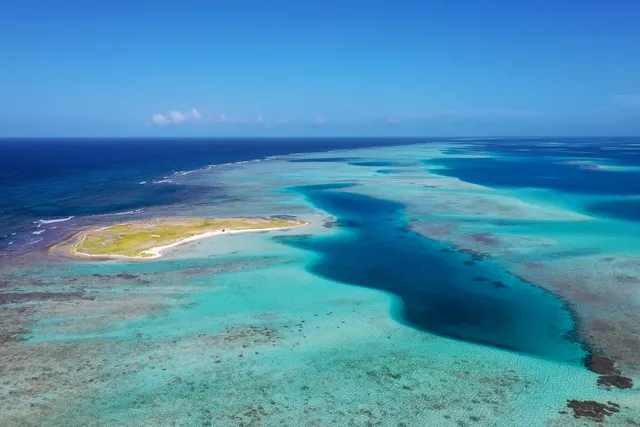 Federal Dependencies