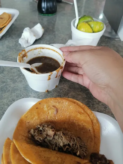 Taquerías Concordia 24/7