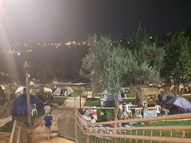 Peace Forest Camping