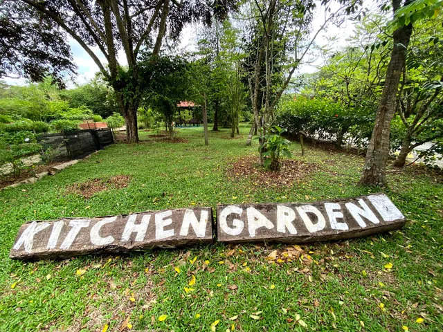 Kitchen Garden