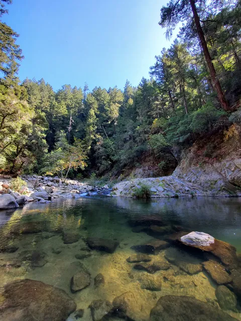 Garden of Eden - Henry Cowell Redwood State Park
