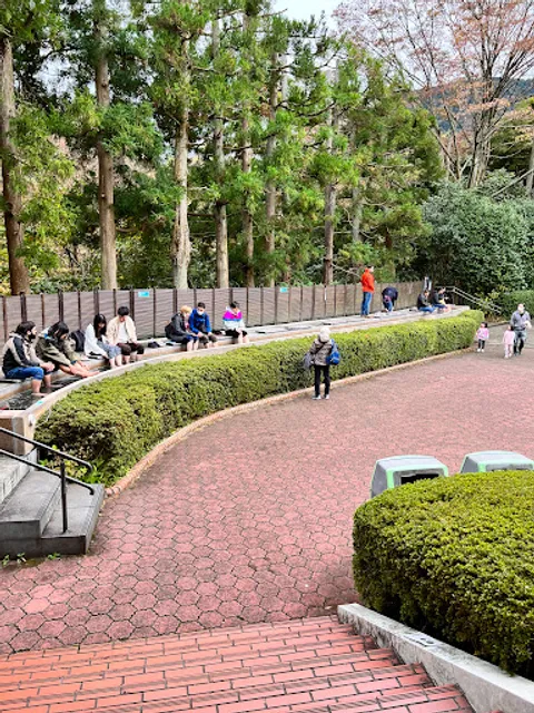 Forests Hot-Spring Foot-Bath