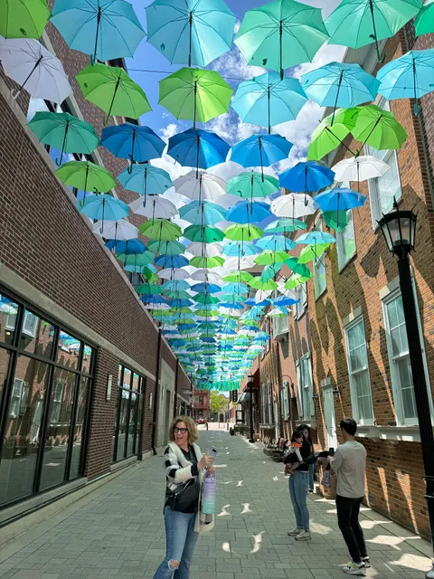 Layers ~ Umbrella Sky Elmhurst