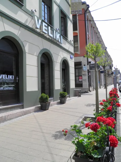 Hotel Veliki Novi Sad