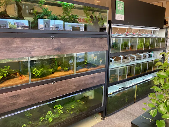 麺屋酒田直売所