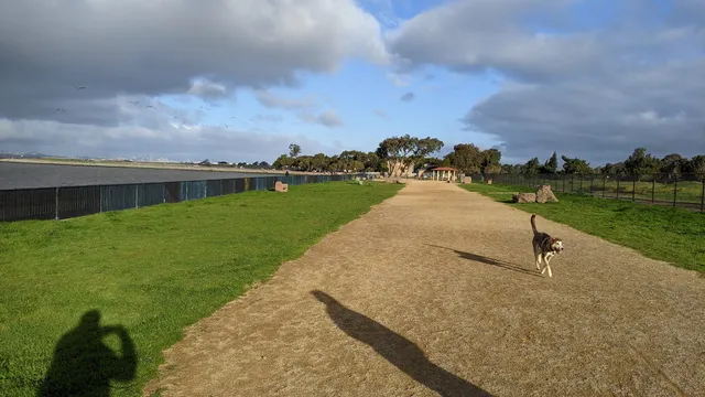Marina Dog Park
