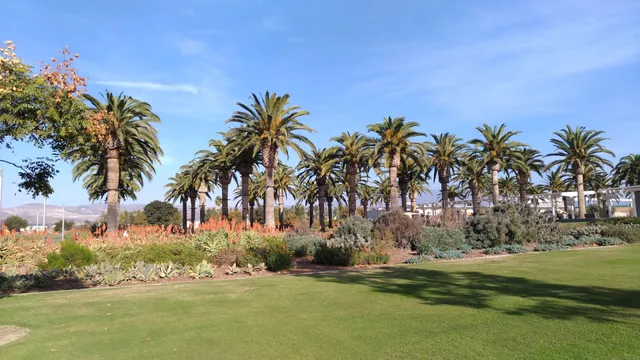 Orange County Great Park Farmers Market