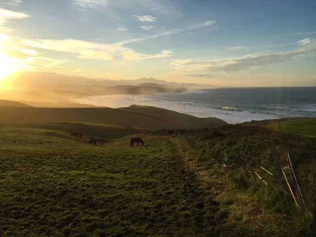 Apartamentos El Cardeo