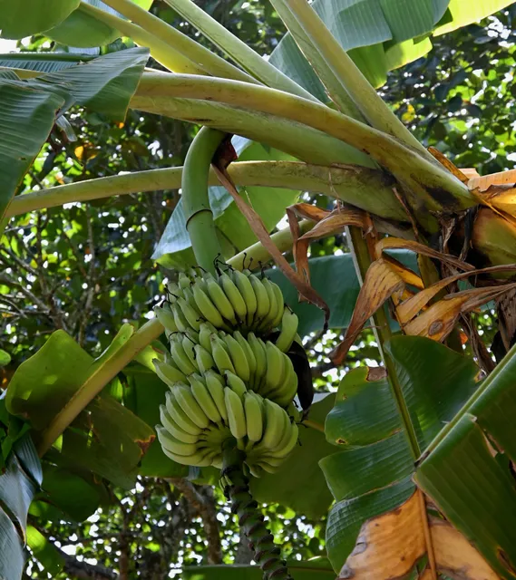 Spice & Stone Town Tour