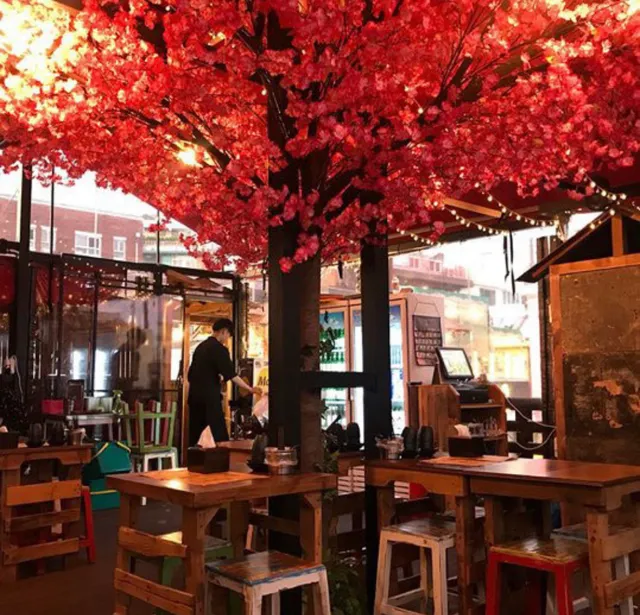 Itaewon Izakaya Momo's Strange Adventure