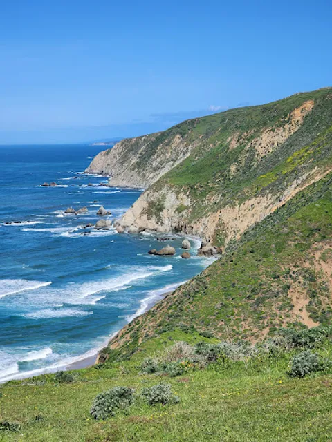 Tomales Point Trailhead