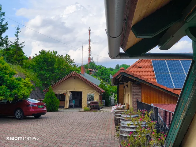 Sárosdi Pince és Panzió