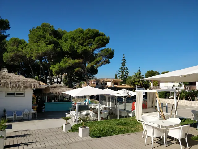 Royal Beach gastrosenses