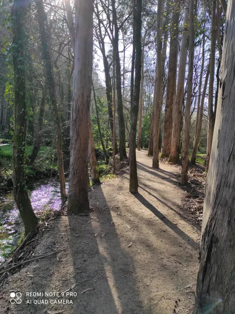 Ático Cuntis Thermae