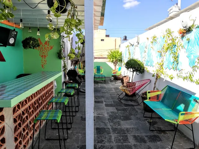 Monkey Safari Hostel