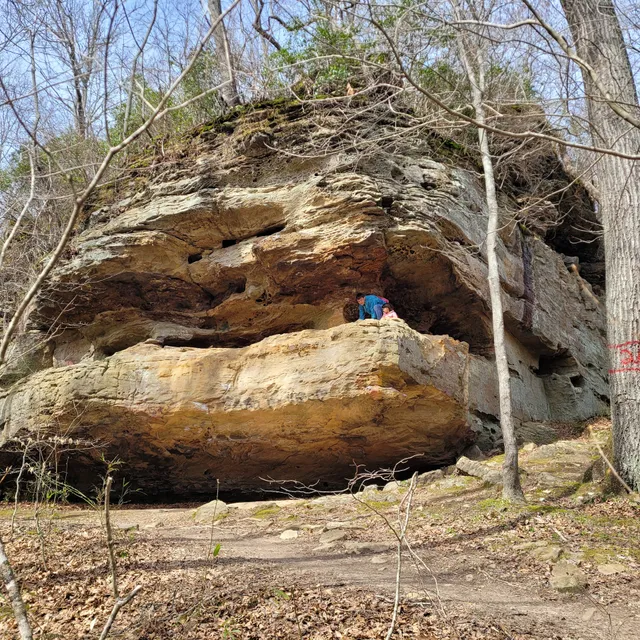 Shanty Hollow Waterfall Trail