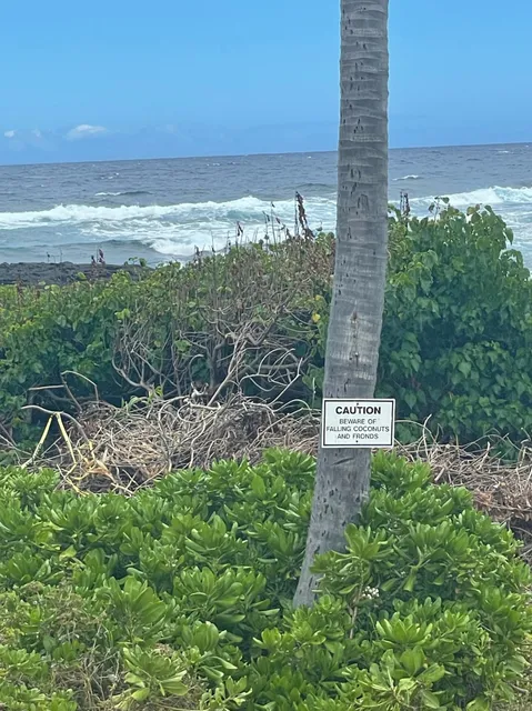 Punaluu Black Sand Beach Camping