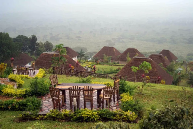 The Baboon Safari Hotel