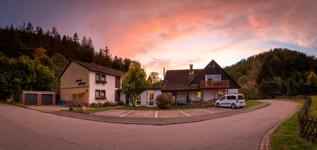 Vor lauter Bäumen B&B