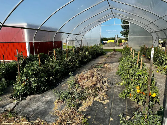 Frankenfield Farm Market