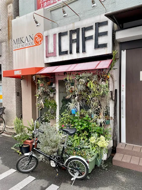 Ucafe