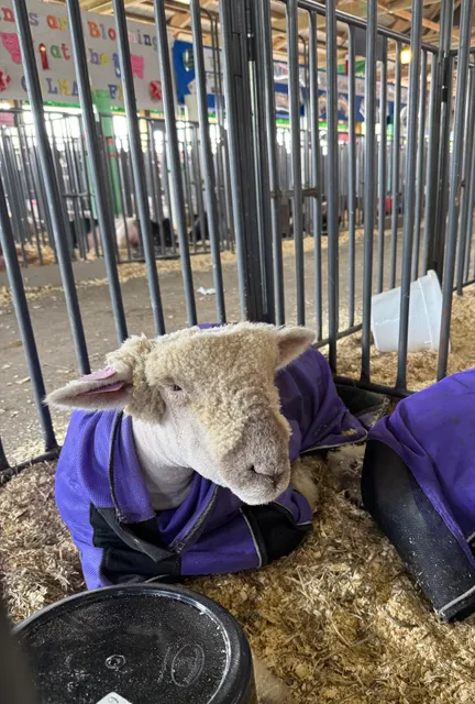 Taylor County Fair Grounds
