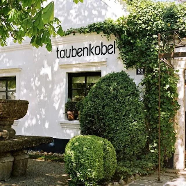 taubenkobel