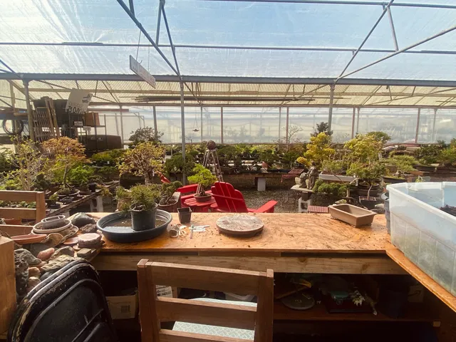 Greenhouse Florist & Nursery