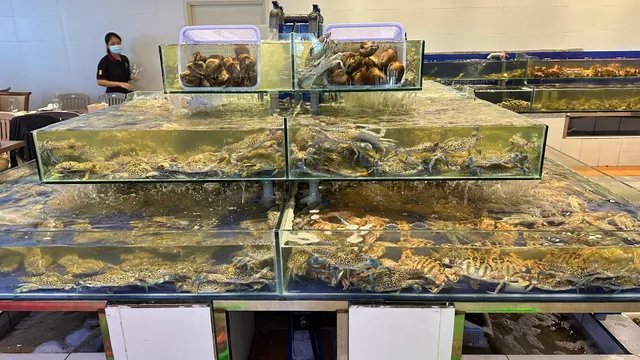 Buffet Poseidon Thảo Điền