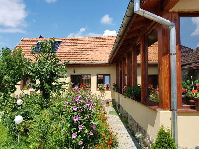 Pensiunea Ana-Dragusana