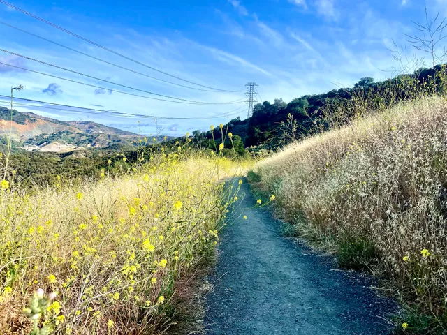 San Tomas Aquino Creek Trail