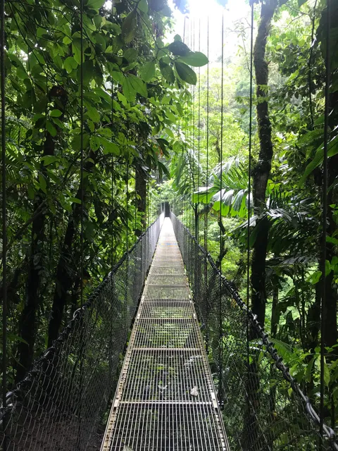 100% Aventura Puentes Colgantes Monteverde